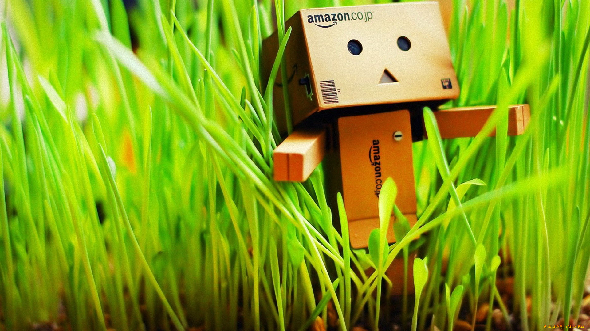 , , danboard, , 